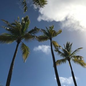 Meet your Posher, Heidi